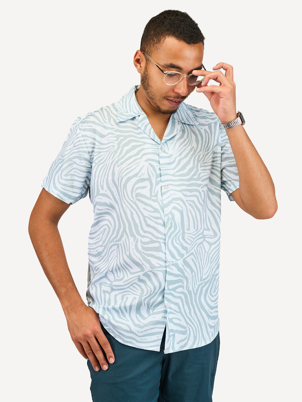 KaliShirts: Serene Zebra Print