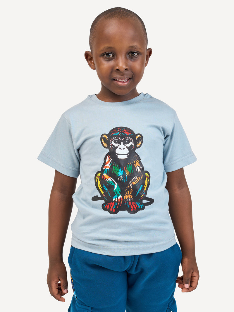 Kali Kids Ts: Arona Grey with Tumbili