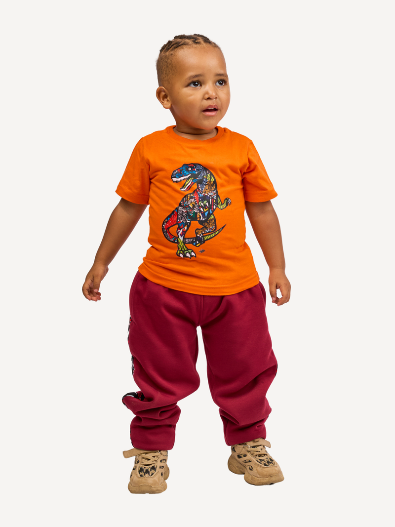 Kali Kids Ts: Orange with Dino 2